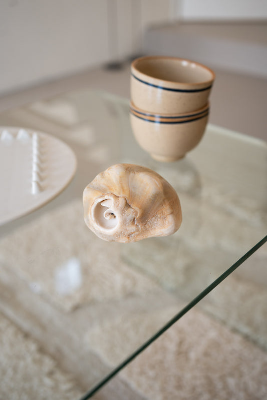Vintage inclusive design plate by Pieter Stockmans