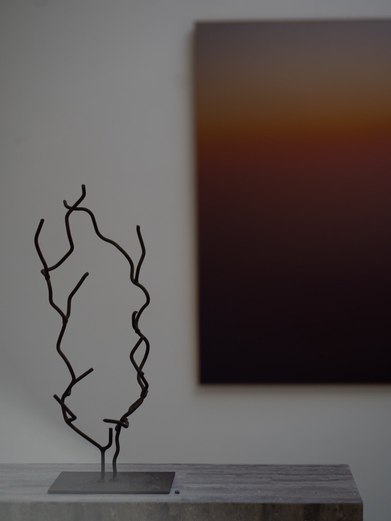 Steel wired object