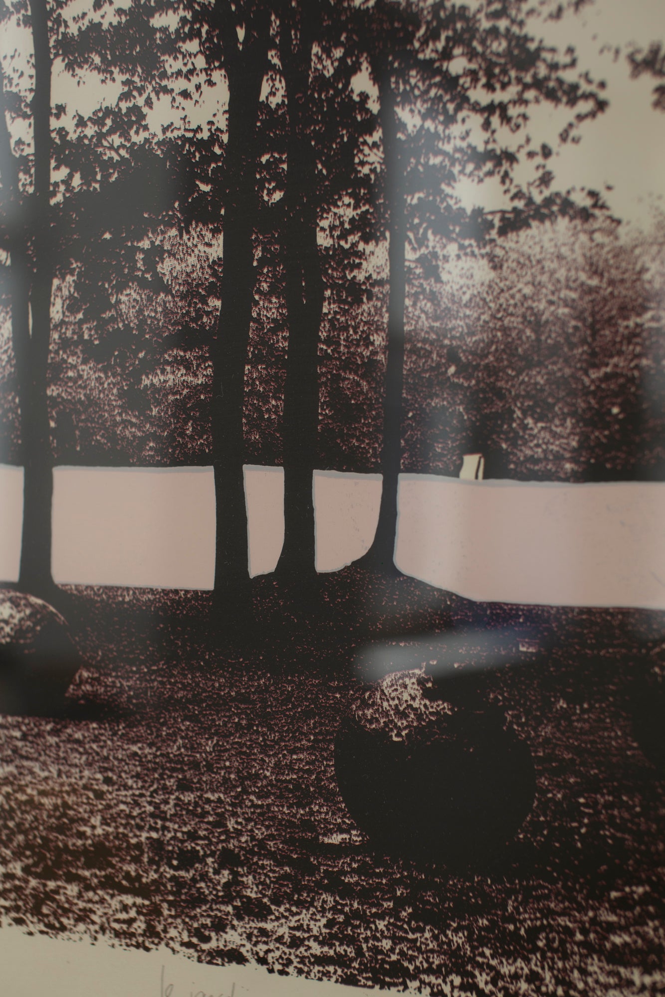 'Le jardin rose' lithograph Hylke Gjaltema, 1978
