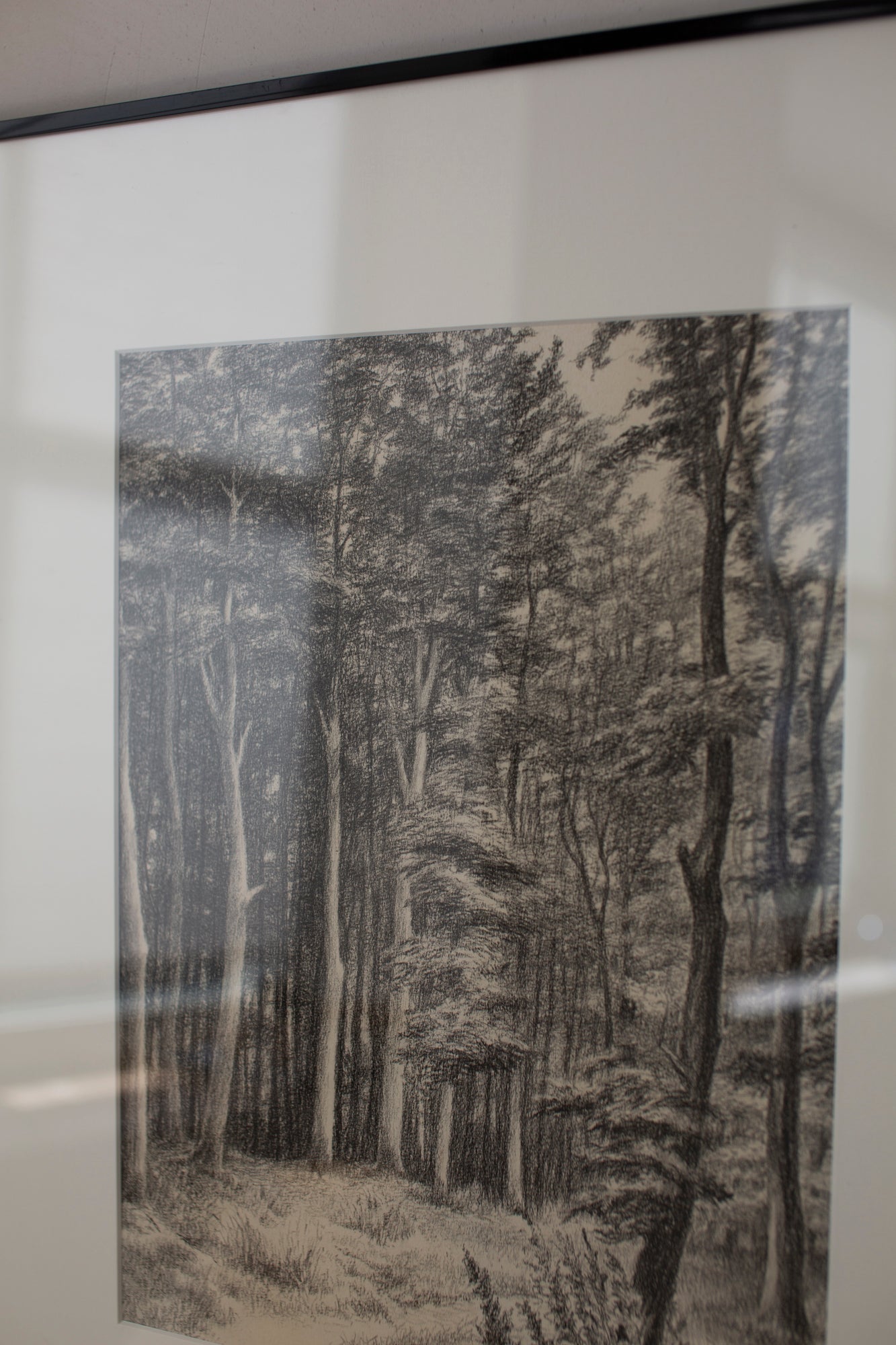 Untitled forest drawing