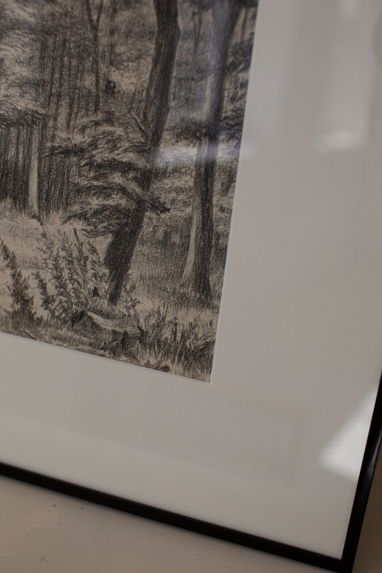Untitled forest drawing
