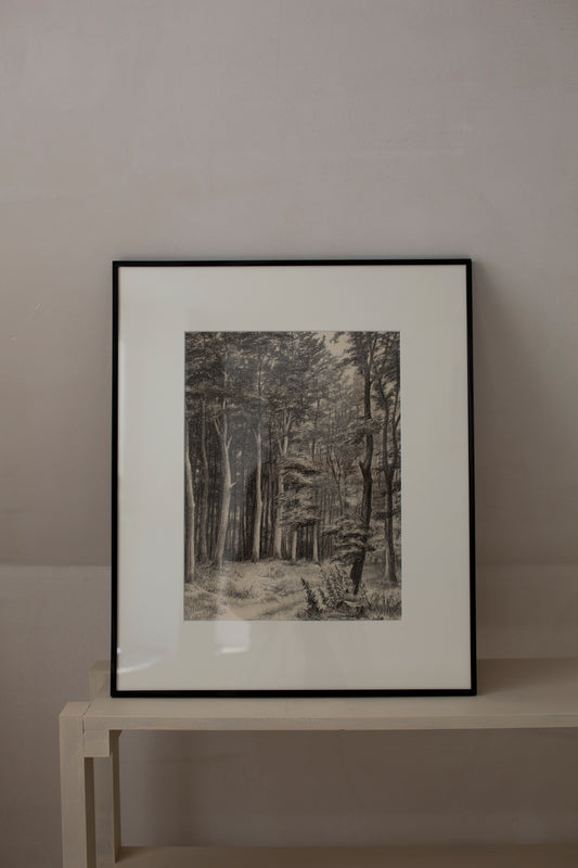 Untitled forest drawing
