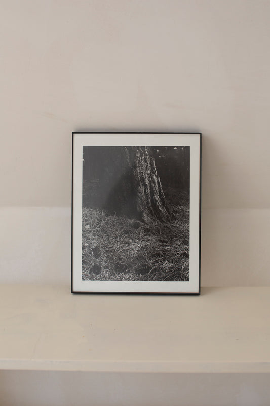Signed black-and-white diptych