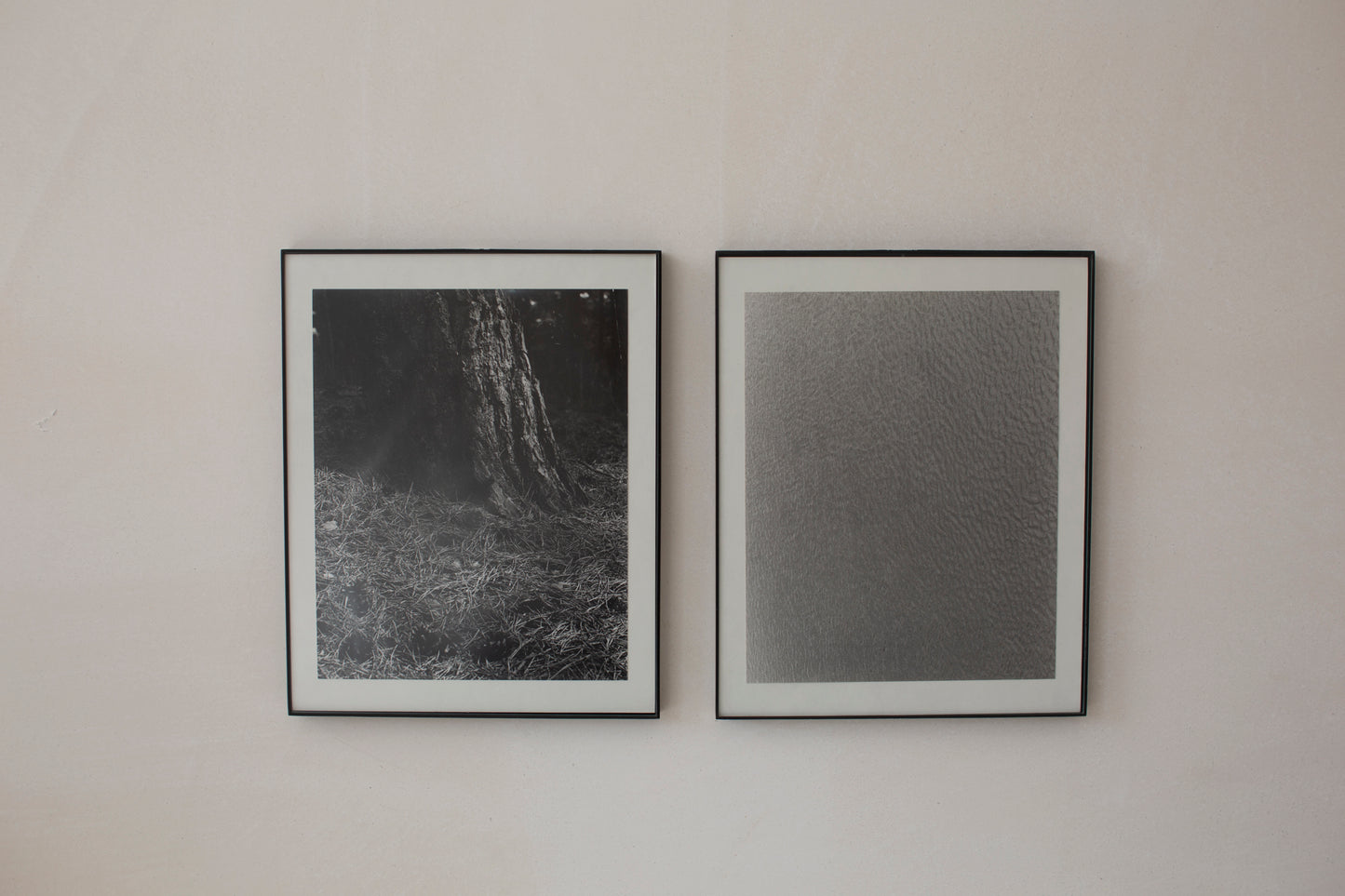 Signed black-and-white diptych