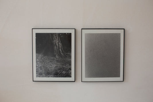 Signed black-and-white diptych