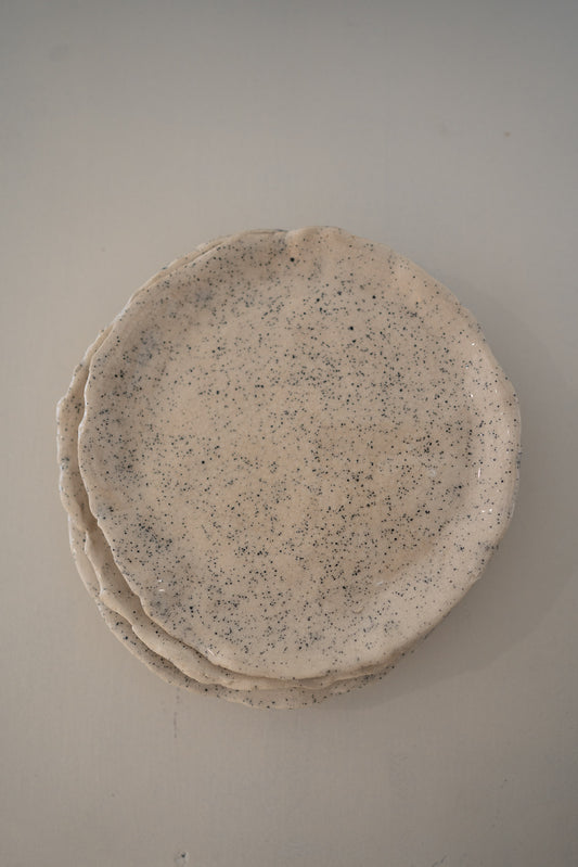 Set of  4 handcrafted speckled ceramic plates