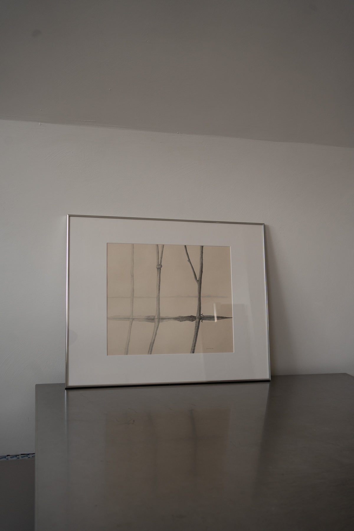 Framed Minimalist Tree Branches Drawing