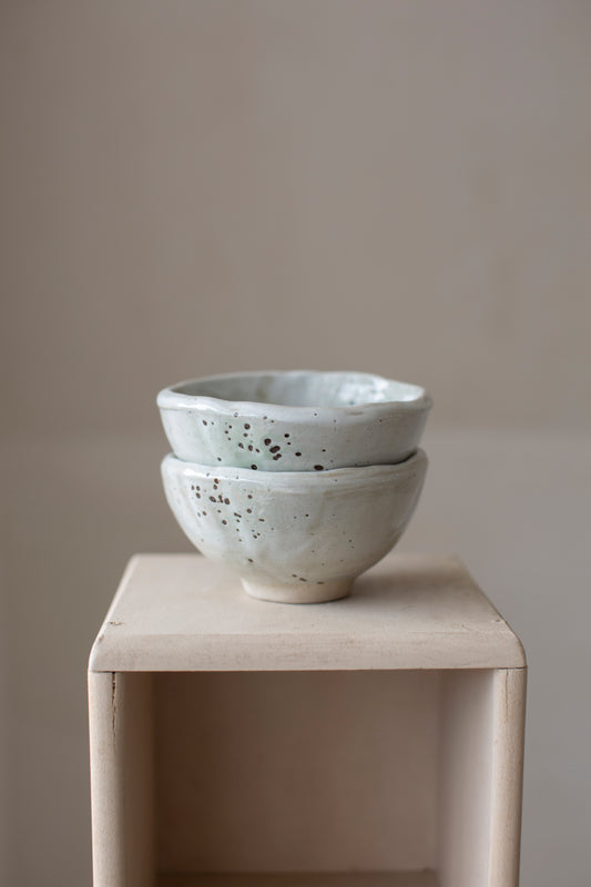 Ceramic bowl set of 2
