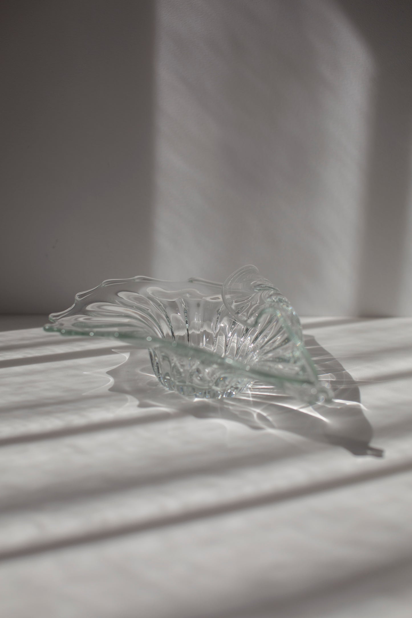 Glass shell shaped object / bowl