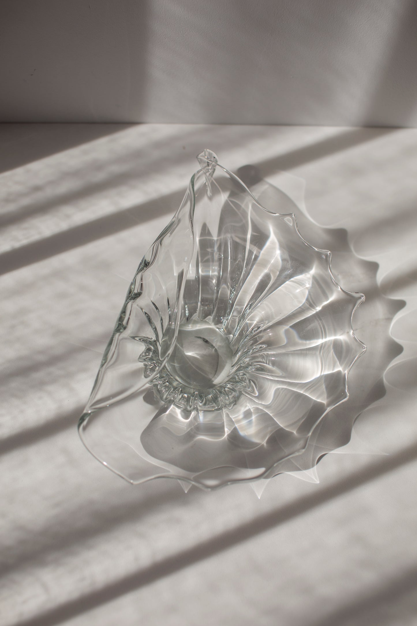 Glass shell shaped object / bowl