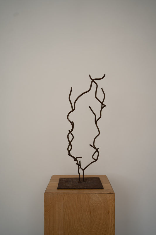 Steel wired object